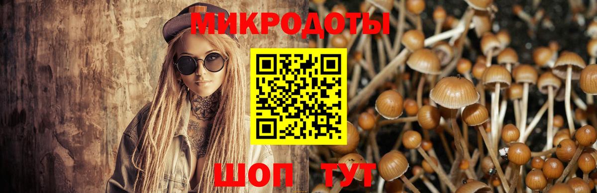Дмитров  Галлюциногенные грибы Cubensis  Галлюциногенные грибы Psilocybe  Вход с VPN 